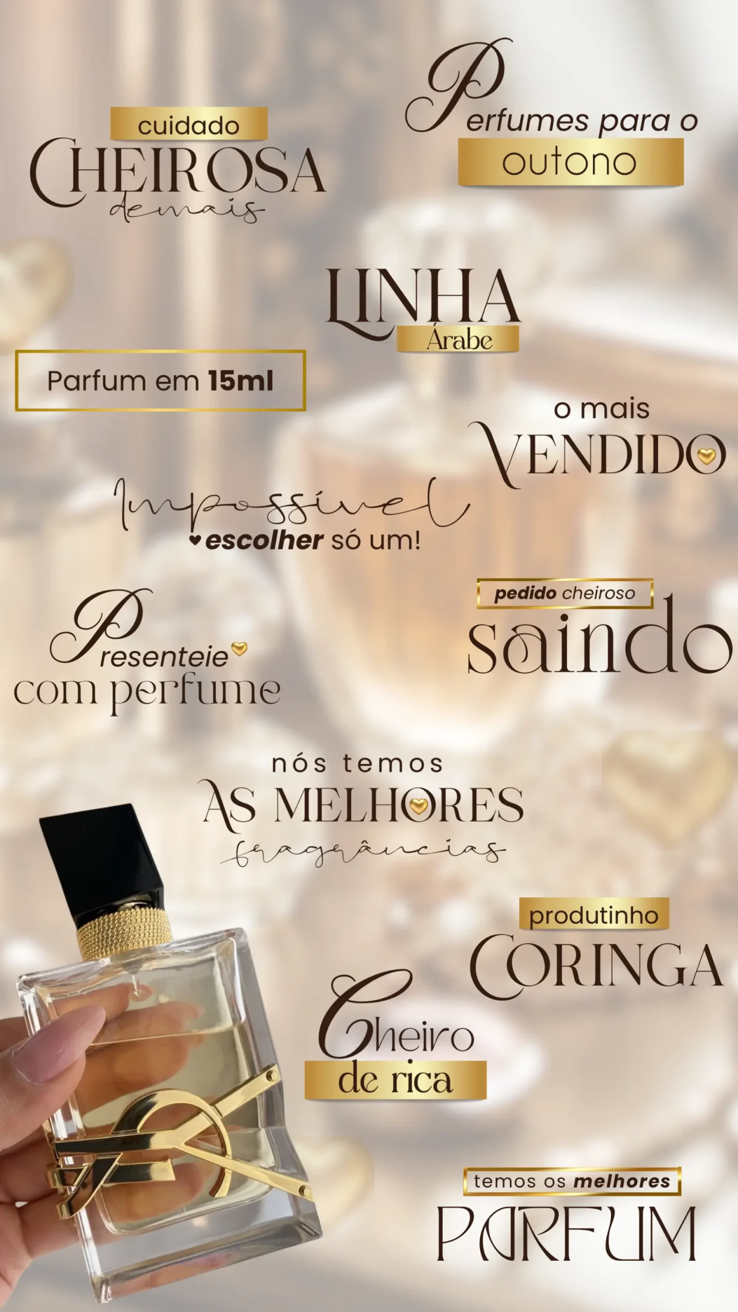 Cópia de Cópia de PACK PREMIUM (15)